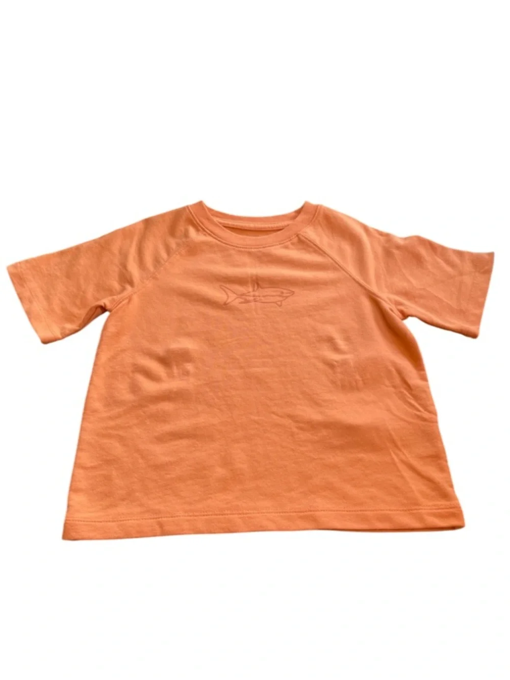 Boys Sz 4 Apricot Shorts Set